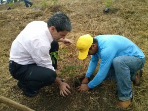 O diretor de Meio Ambiente, Alselmo Tozi, realizando o plantio da seringueira, em Boa Vista, Guarapari.